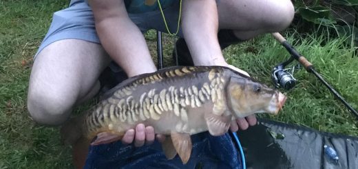 Oathill_Mirror_Carp